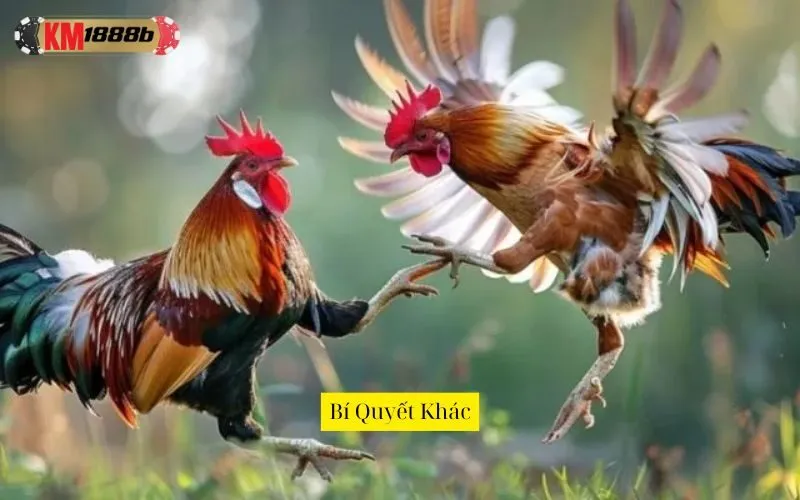 Bí Quyết Khác